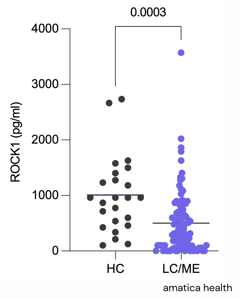ROCK1/2 in LC/ME and PEM

Combining our two cohorts we have 95 LC/ME patients and 24 healthy controls

We observed lower ROCK1 (502.9±565 pg/ml) compared to controls (1007.8±687 pg/ml), potentially suggesting dysfunctions to immune and vascular systems and stress responses