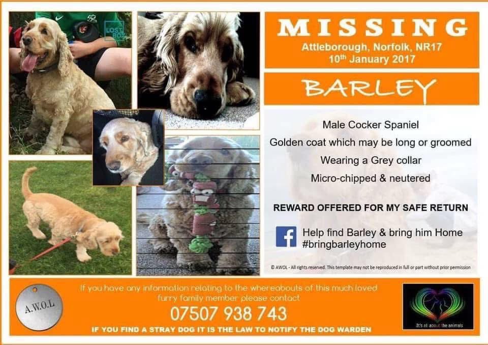 rosieDoc2's tweet photo. #SpanielHour
More #longtimemissing
#Theftbyfinding ⬇️
CHLOE September 2019 #RH10
OXO 23/9/18 #DL8
WILLOW #Stolen September 2018
BARLEY missing/stolen ? 10/1/17 #NR17
Keep 👀 please
@qu1ncey @JacquiSaid @ZuccoIsMissing @juliagarland73 @muddypawscrime @BryantDjbryant https://t.co/TIFK5hVCY3