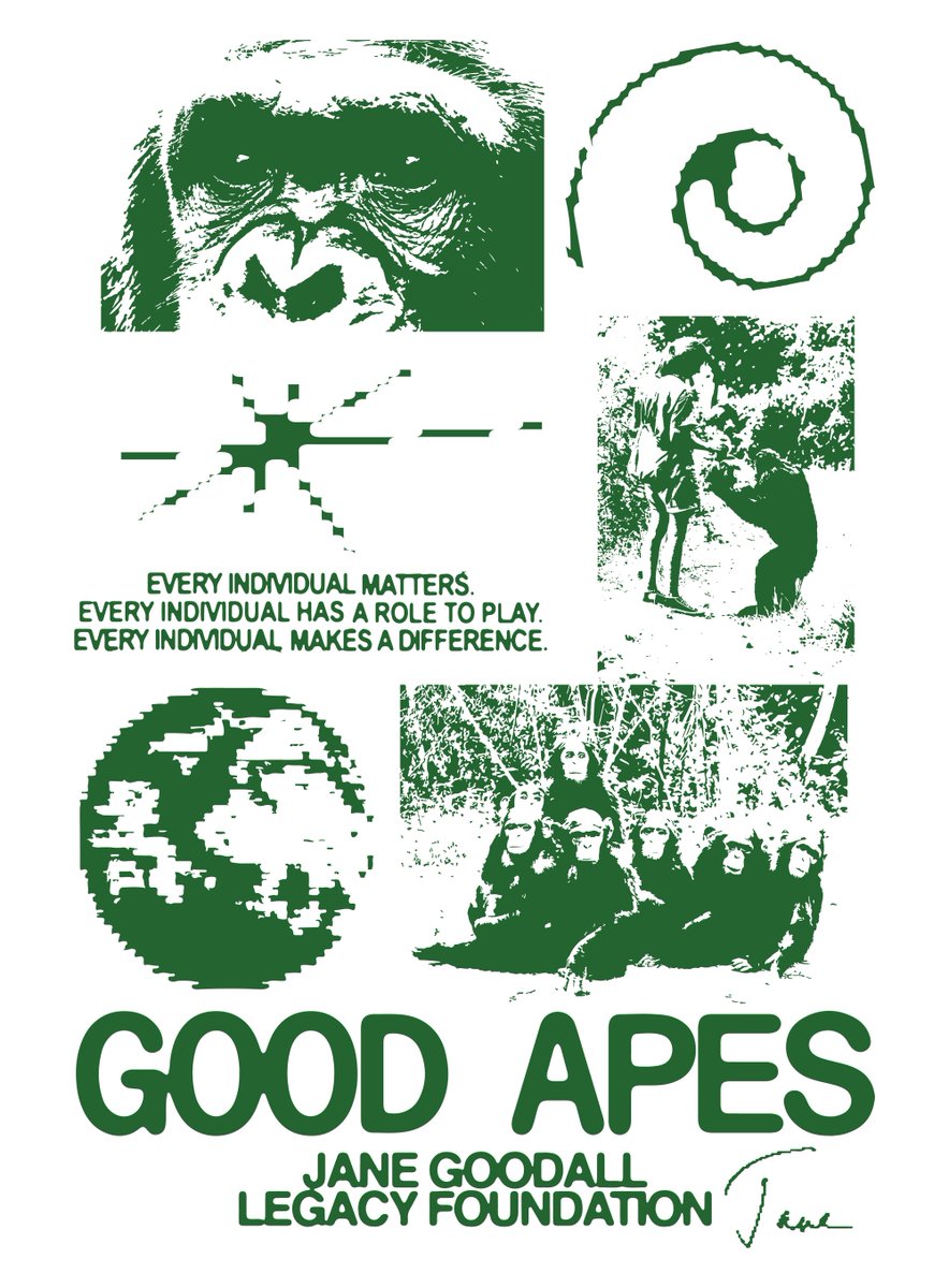 BoredApeYC's tweet image. Jane Goodall was a towering figure in conservation, science, and human empathy.    

Her lifelong dedication to primate conservation, environmental stewardship, and education changed the world.   

When @apecoin launched, part of its token allocation included a donation to the…