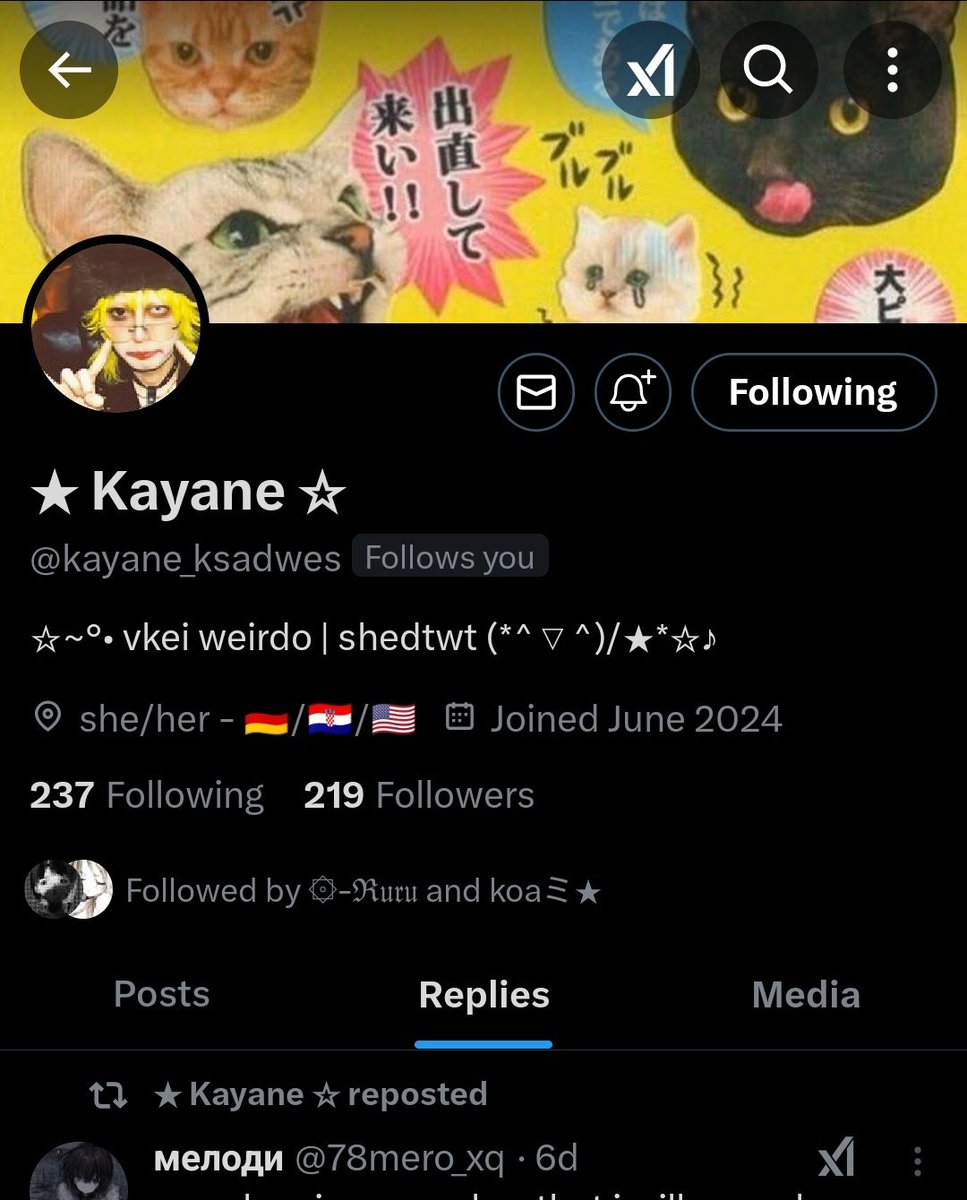 invaliddisorder's tweet photo. I think both Kayane and I(@casualdisorder) lost our main accounts. don't reply to either of our messages please https://t.co/F7yINnjjQt