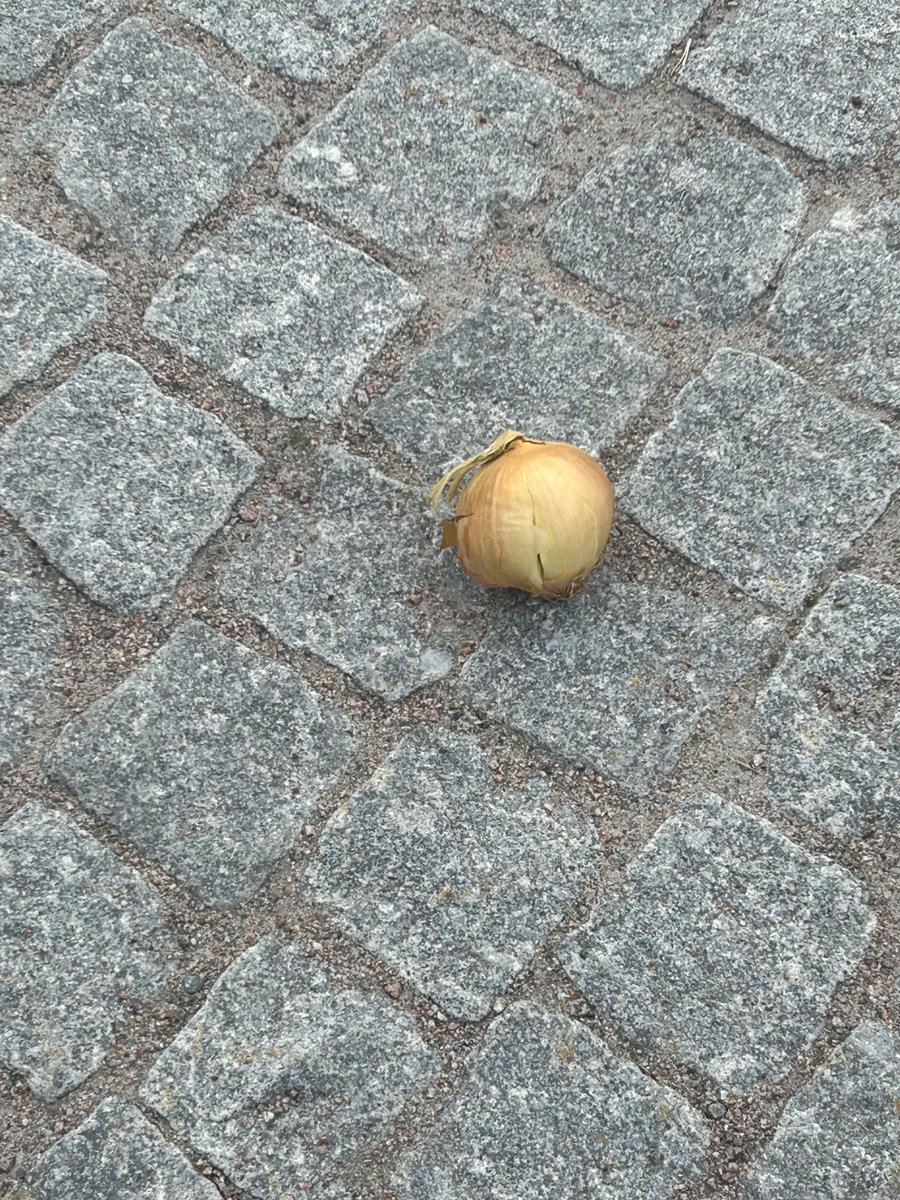 Coffiton🏳️⚧️ tweet media