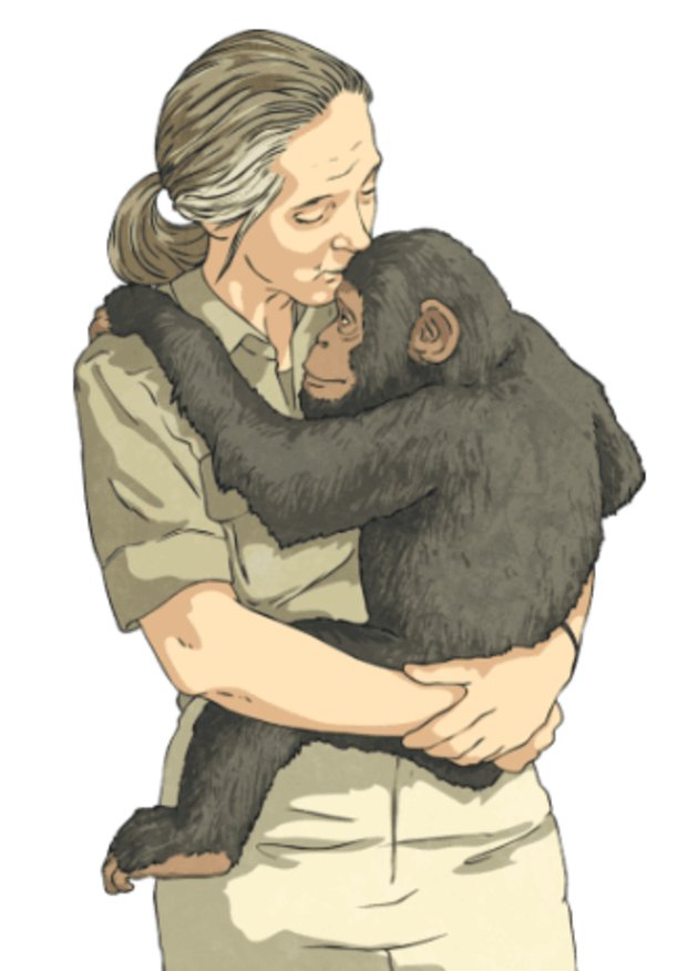 @fervidal31 tweet media