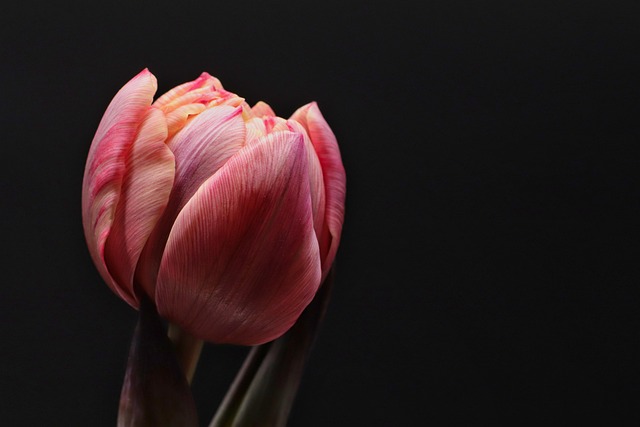 Bokep_Jav_NmXEq's tweet image. الفنان يبدع ويصور في نفس الوقت لإيصال رسالته.

#ForPersonalDevelopment