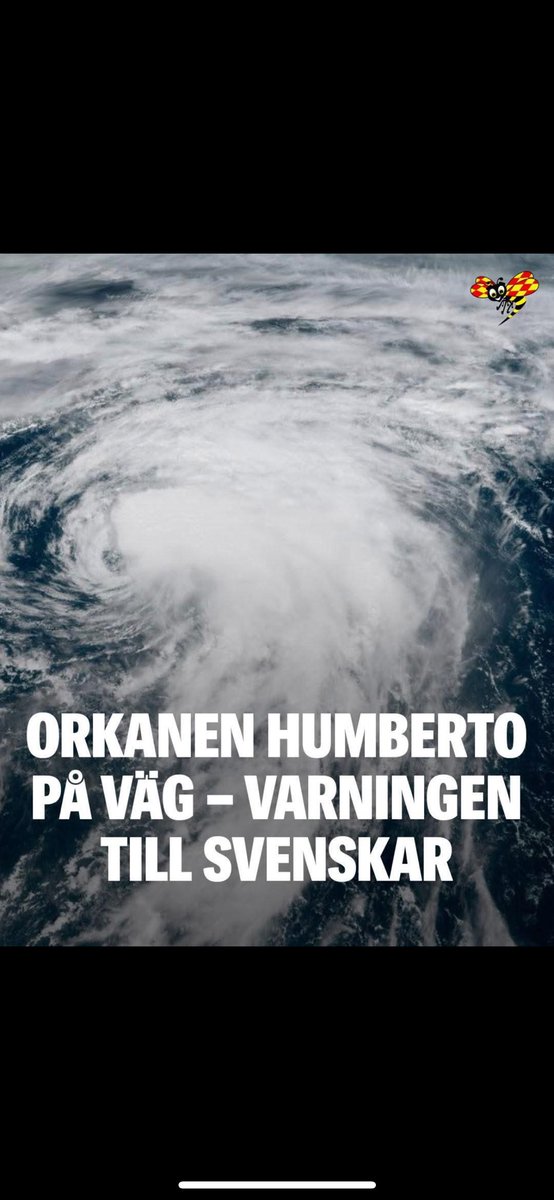 Gardinen tweet media