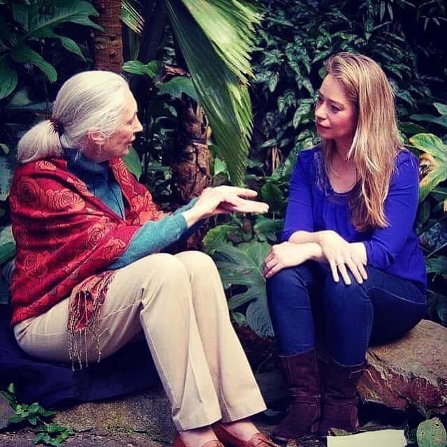 Wat een verlies. Jane Goodall is overleden. Diep respect voor haar werk.  En bewondering voor haar gedrevenheid om tot het laatste moment door te gaan mensen bewust te maken om zuinig te zijn op onze planeet en de dieren. Heb het grote voorrecht gehad haar te mogen interviewen.