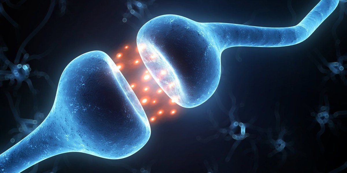 CCTSI's tweet image. Boosting dopamine with the medication tolcapone may help people with #AlcoholUseDisorder drink less and improve self-control. Research by @CCTSI’s Joseph Schacht, PhD, (@CU_Psychiatry) of @CUAnschutz shows #tolcapone could support AUD treatment. buff.ly/qtabNh2