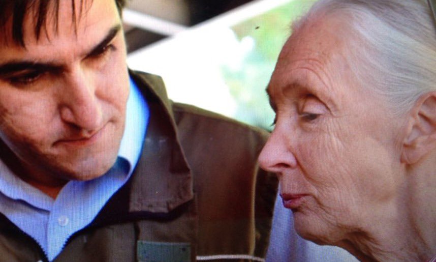 Mauricio Fabry Otte tweet media