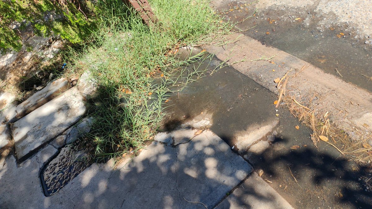 LOrfeoCSM's tweet photo. Fuga de aguas negras que se reportó hace casi dos semanas y @aguahermosillo no han venido a reparar, afectando prácticamente a toda la calle. Urge que vengan ya! https://t.co/gnFYgz9Pwj