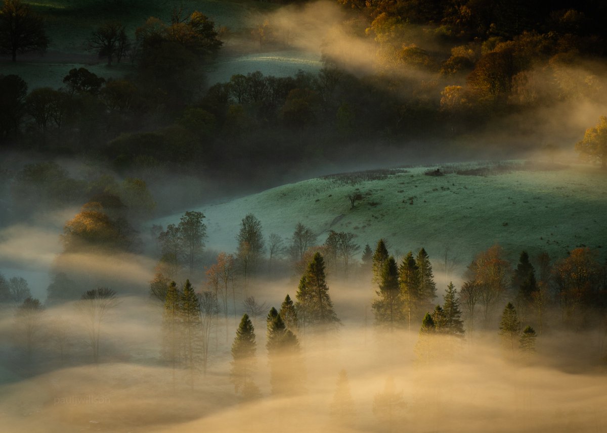 pauljwillson's tweet photo. Season of mists https://t.co/54YI2I67o6