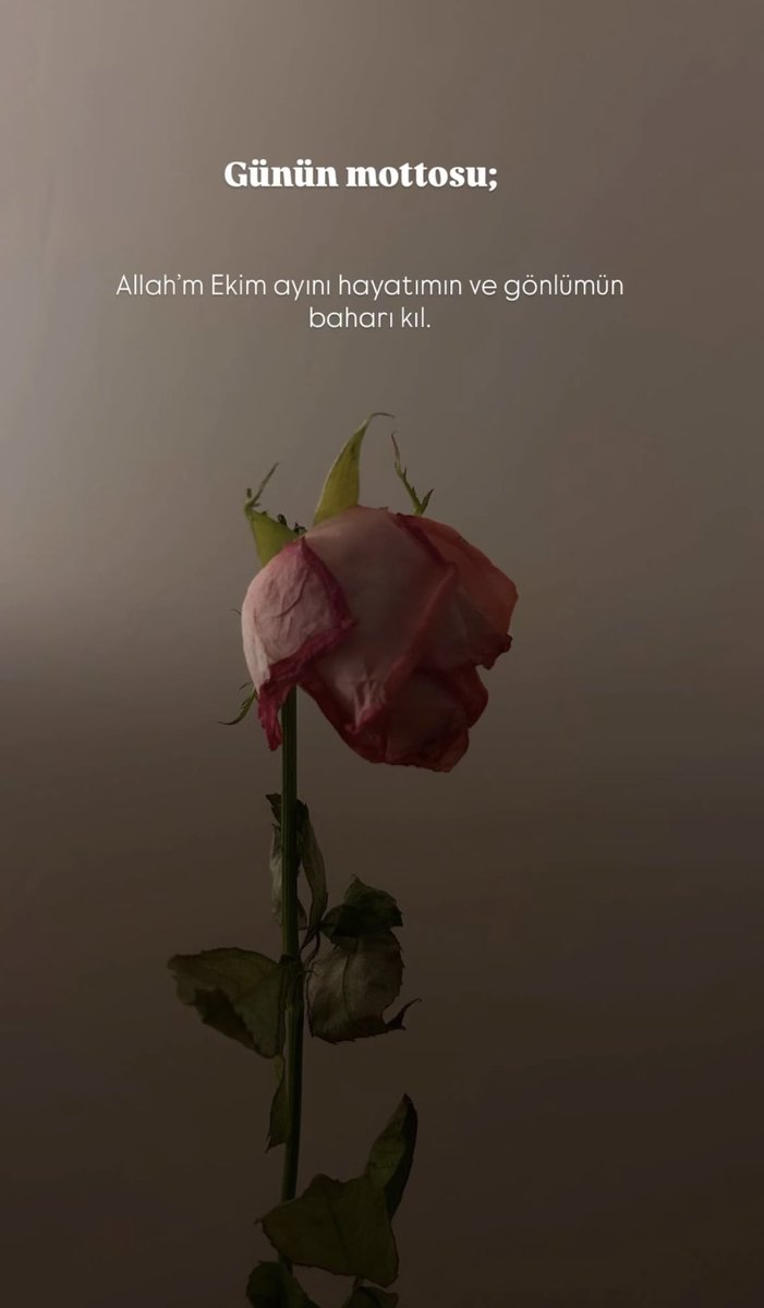 Zeynep (@lsosyologs) on Twitter photo 