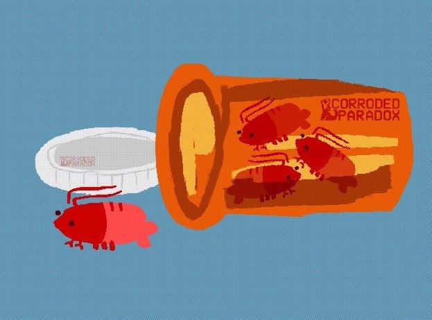CorrodedParadox's tweet photo. Have you taken your shreds (shrimp meds) today? https://t.co/fmWHitWUqz
