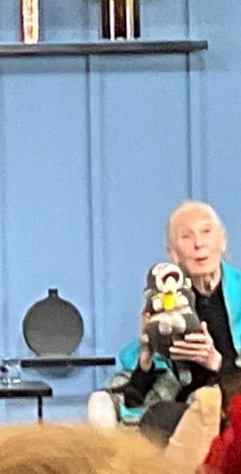 Andrew Frank tweet media