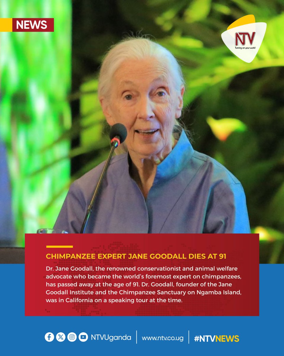 JUST IN: Dr. Jane Goodall, legendary Chimpanzee expert, dies at 91. 

#NTVNews