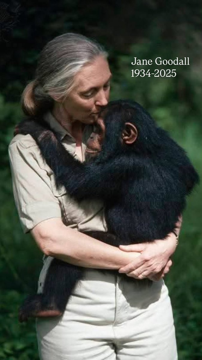 Horacio Besson (@hbessonphoto) on Twitter photo 