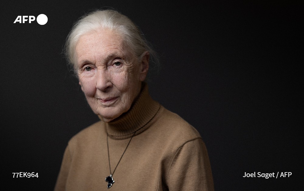 British primatologist Jane Goodall, who studied chimpanzees and became a renowned wildlife crusader, has died aged 91. She passed away from natural causes while in California on a speaking tour of the United States. u.afp.com/SWFd