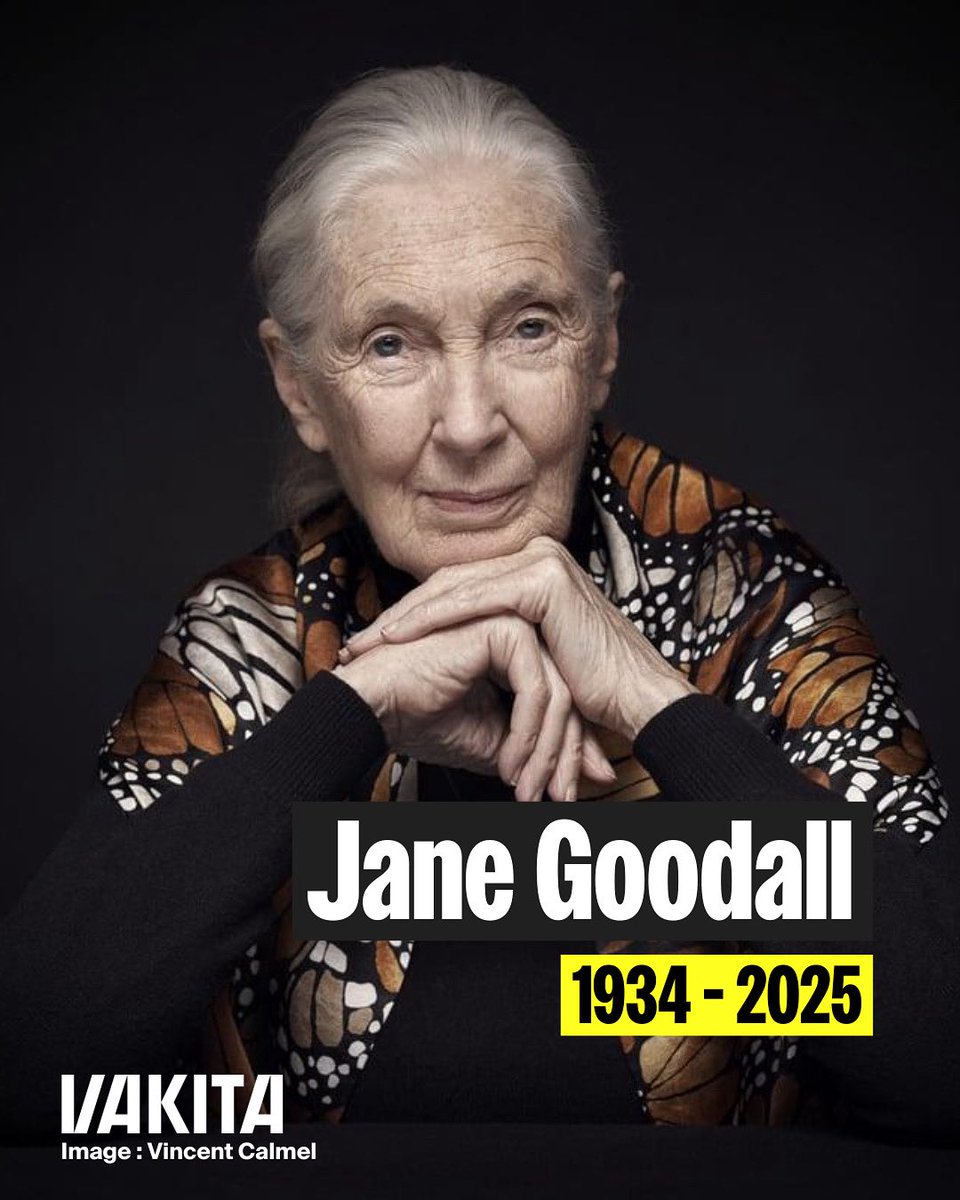 La légende Jane Goodall s’est éteinte aujourd’hui, à l’âge de 91 ans 🕊️

Elle a été l'une des voix les plus influentes en ce qui concerne la biodiversité. Ses études sur le terrain ont révolutionné notre manière de considérer les chimpanzés, et plus largement notre compréhension