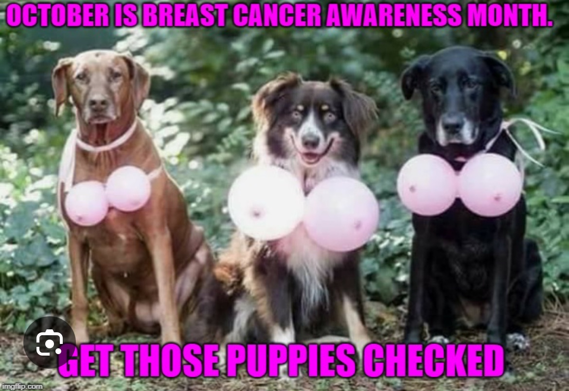 hancox14703's tweet photo. Breast cancer awareness month 🩷 https://t.co/Mb1DWgDrh6