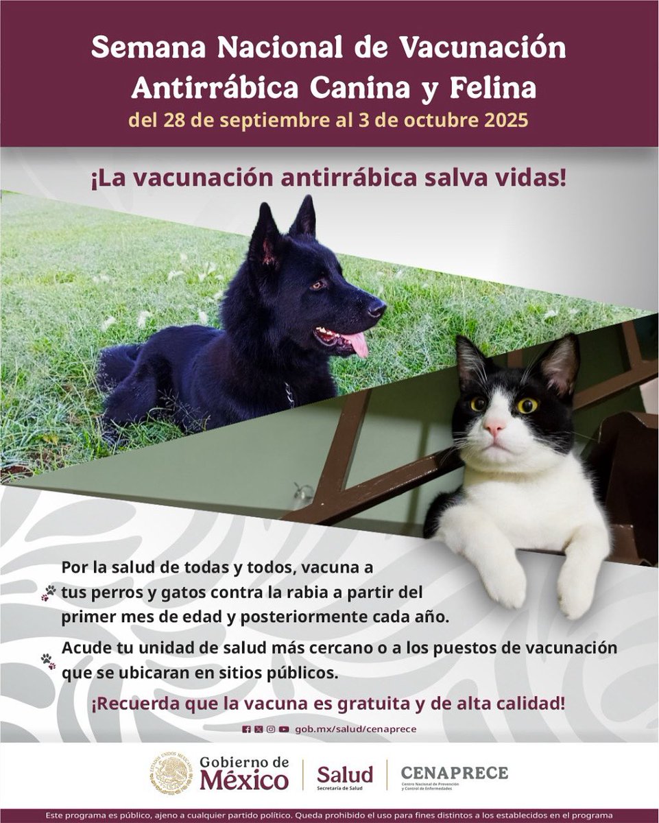 cenaprece's tweet photo. ¿Conoces nuestro cartel de la #SemanaNacionalDeVacunaciónAntirrábicaCaninaYFelina 2025?

Conoce más y descarga el cartel en nuestro sitio 👉🏻 https://t.co/9PBcD0ZOZY 

#somoscenaprece #somoszoonosis https://t.co/tvBOkPF3aD