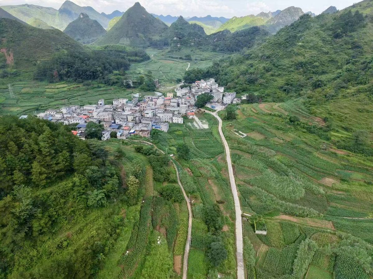 这个名字很好听👌🏻 (@dage07505959) on Twitter photo 