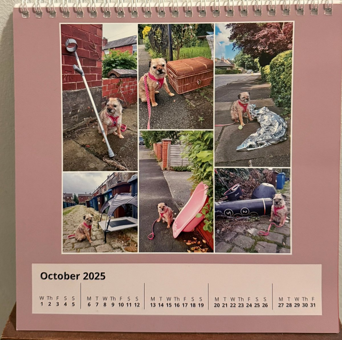 DDCrochetDesign's tweet photo. Happy October π
Thank goodness for this wonderful calendar, it never fails to make me giggle π
Made by Helen @steelygreyste and the wonderful Heidi β€οΈ
You can see all her wonderful creations here
https://t.co/qgE6QyTCaw
#MHHSBD #craftbizparty #randomfinds