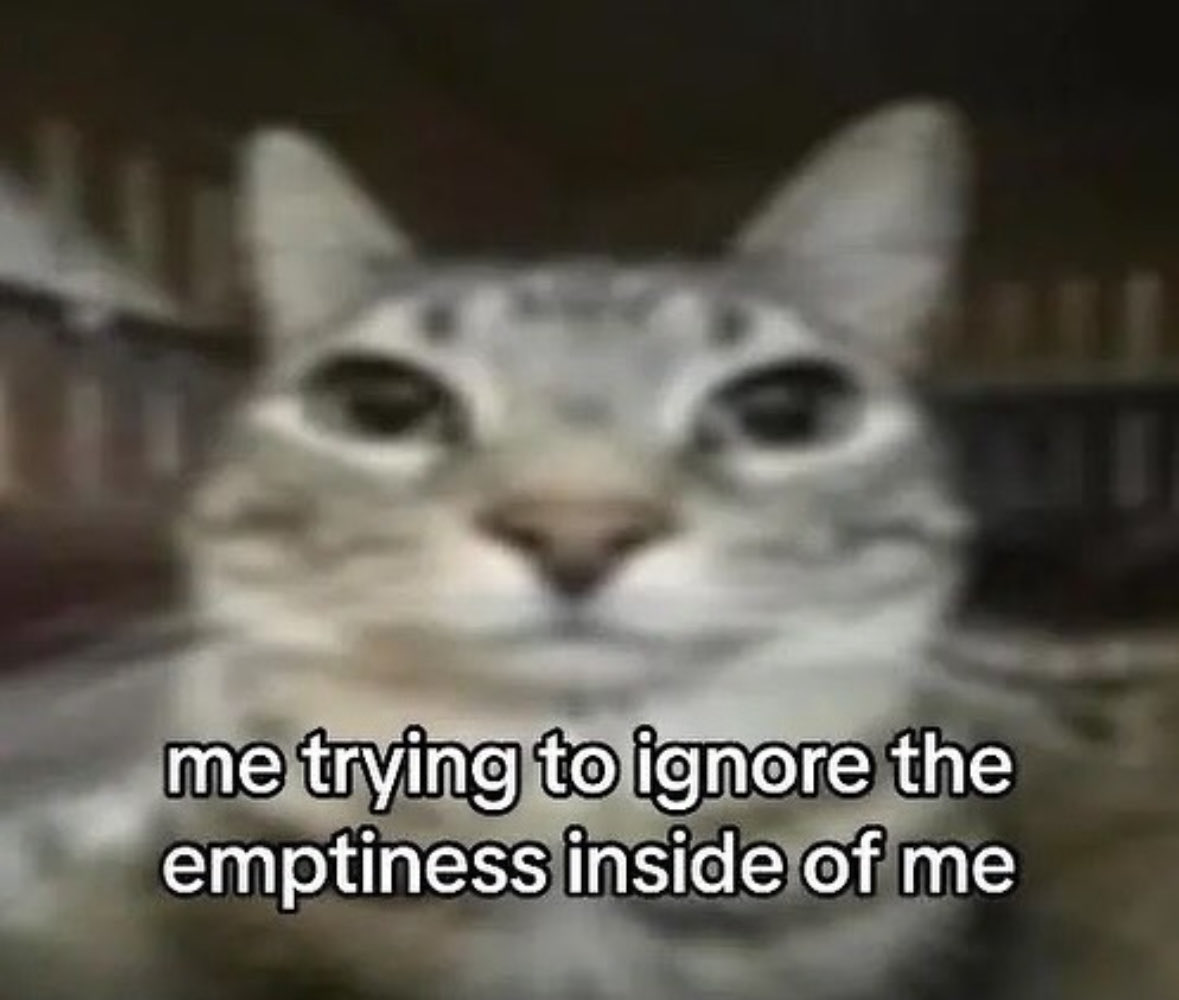 LiterallyMeCats (@literallymecats) on Twitter photo 