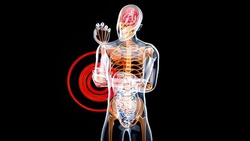 julosheels's tweet image. 🎉 Gangnam-gu, South Korea! 🎉
stock.adobe.com/search?creator…
#Creativeness #Elbow #Medical #Anatomy #Senses #Idea #Concept #Inflammatory #Xray #Body #Gangnam-gu #Southkorea