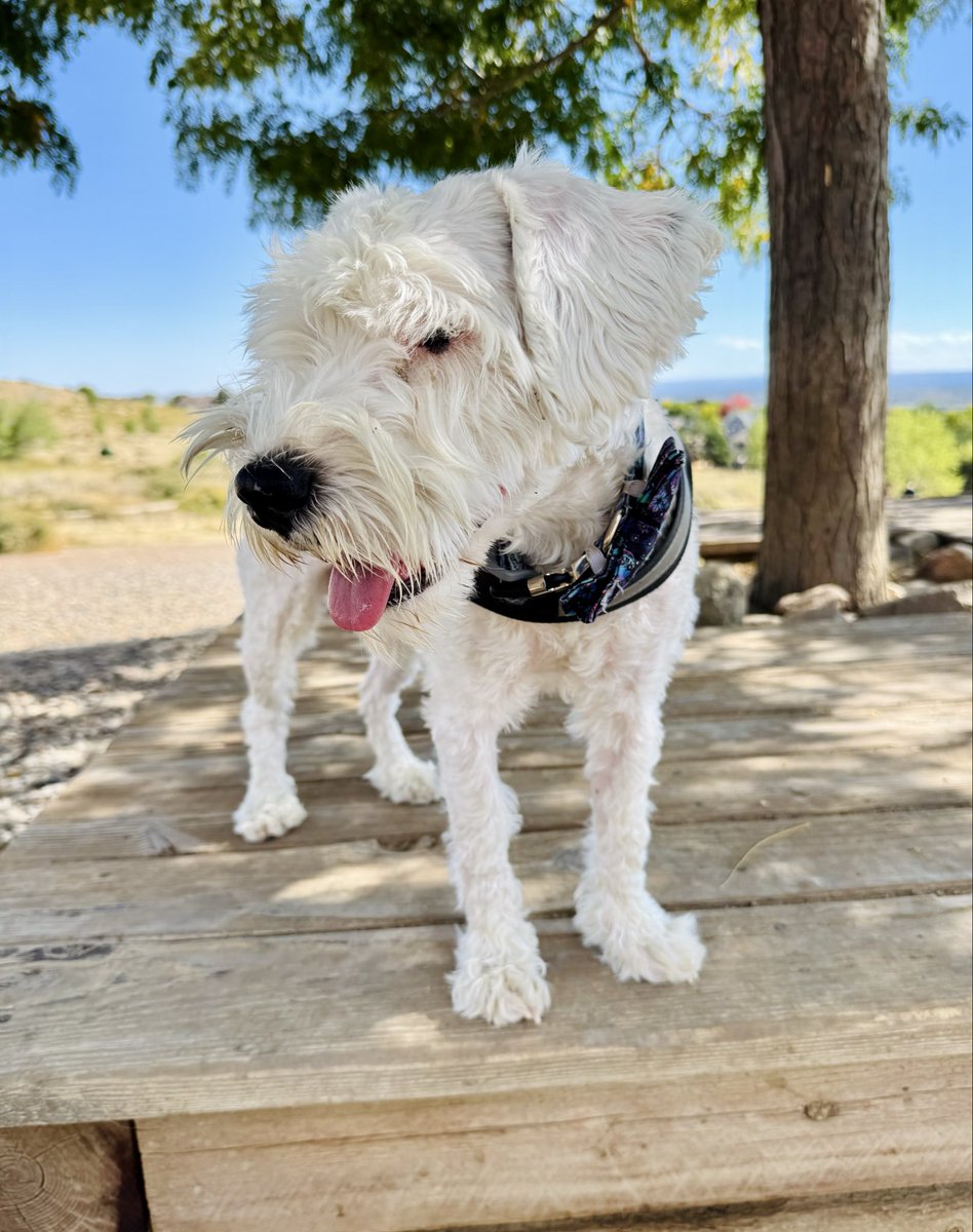 DOUG HYPΞ ⭐️ tweet media