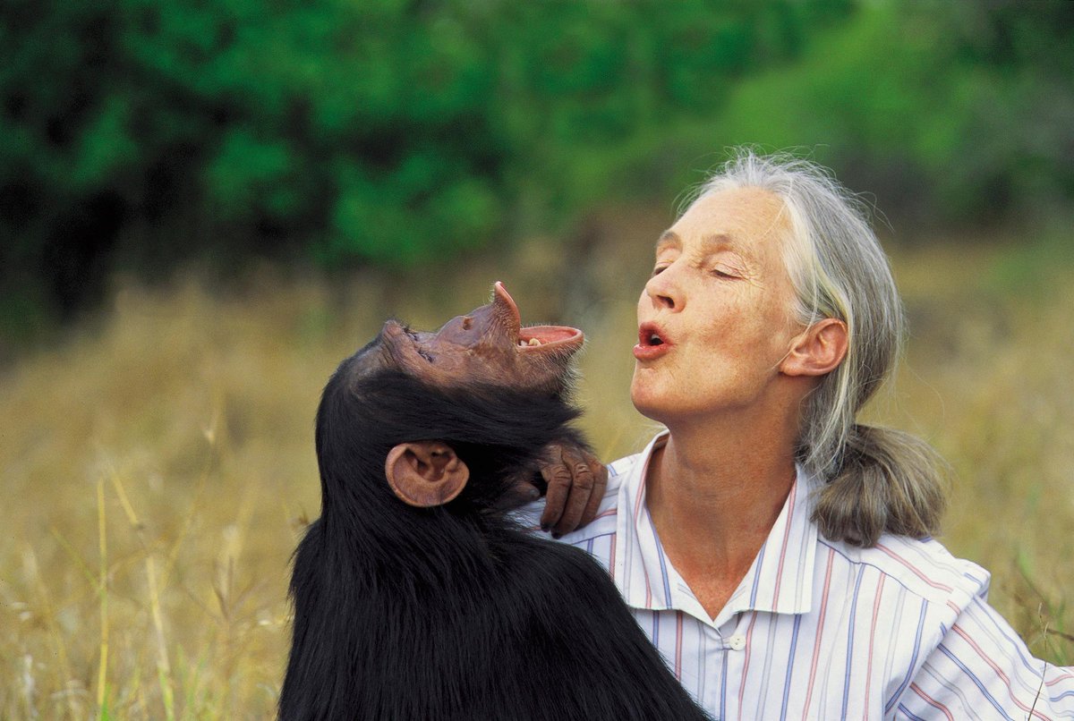 "Nací amando a los animales y amando la naturaleza, y aprendí estando en la naturaleza".

Jane Goodall, descansa en paz 🙏