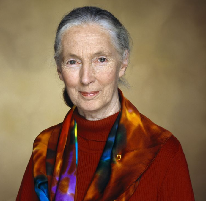 Aves Argentinas tweet media