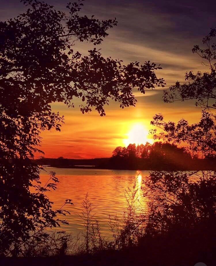 Peaceful, beautiful evening for all 🧡💫

📷 Auli Sorjonen 🇫🇮
