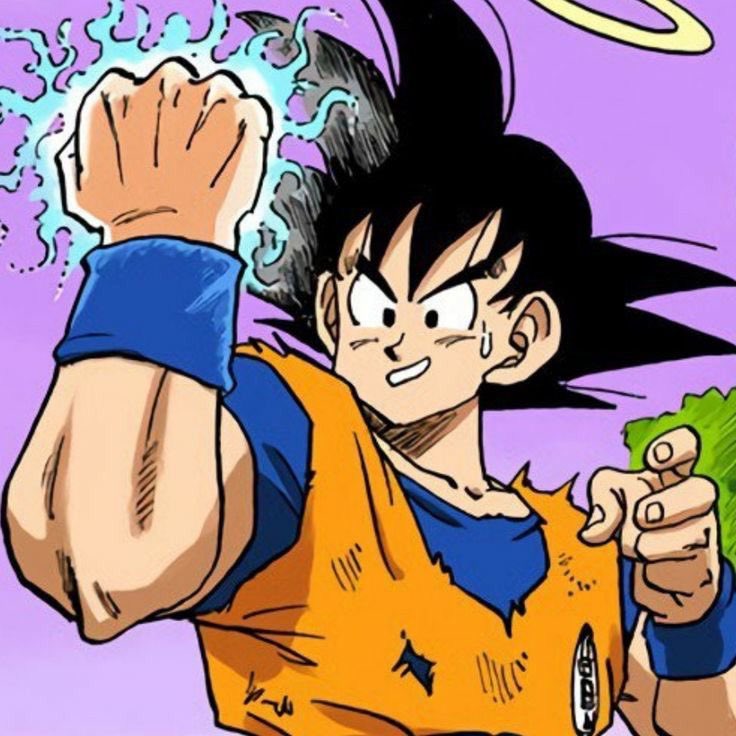 Daily Son Goku (@daily_goku) on Twitter photo 