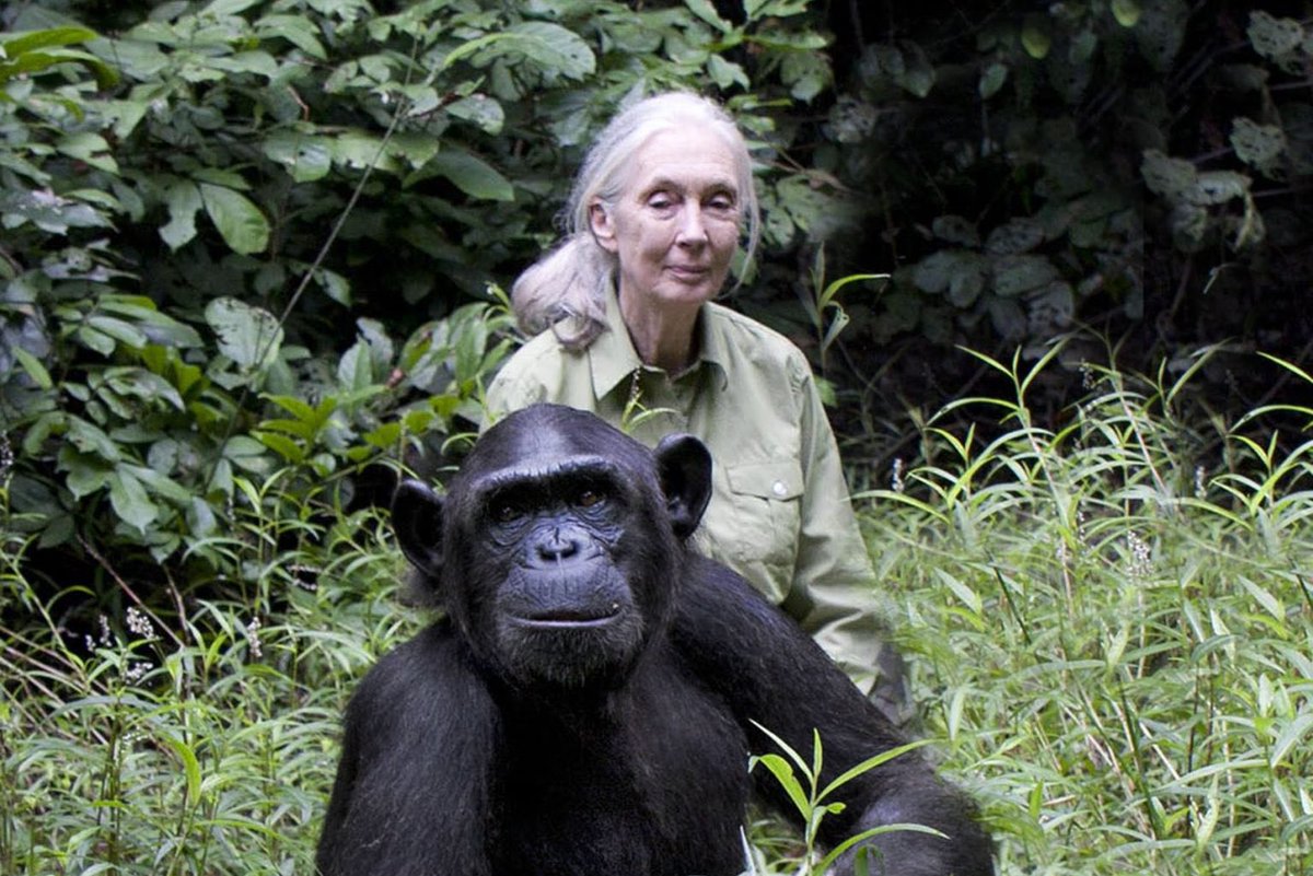 Fondation 30 Millions d'Amis tweet media