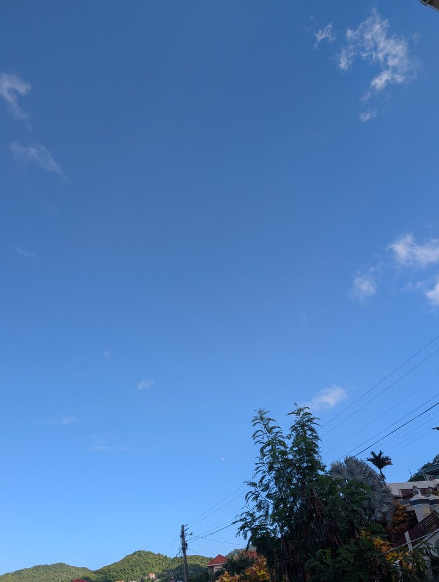 brownabiigail's tweet image. #Backoutside