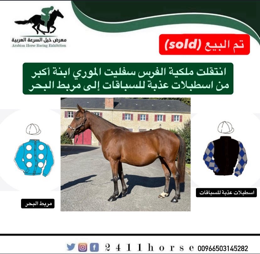 معرض خيل السباق (@24111horse) on Twitter photo 
