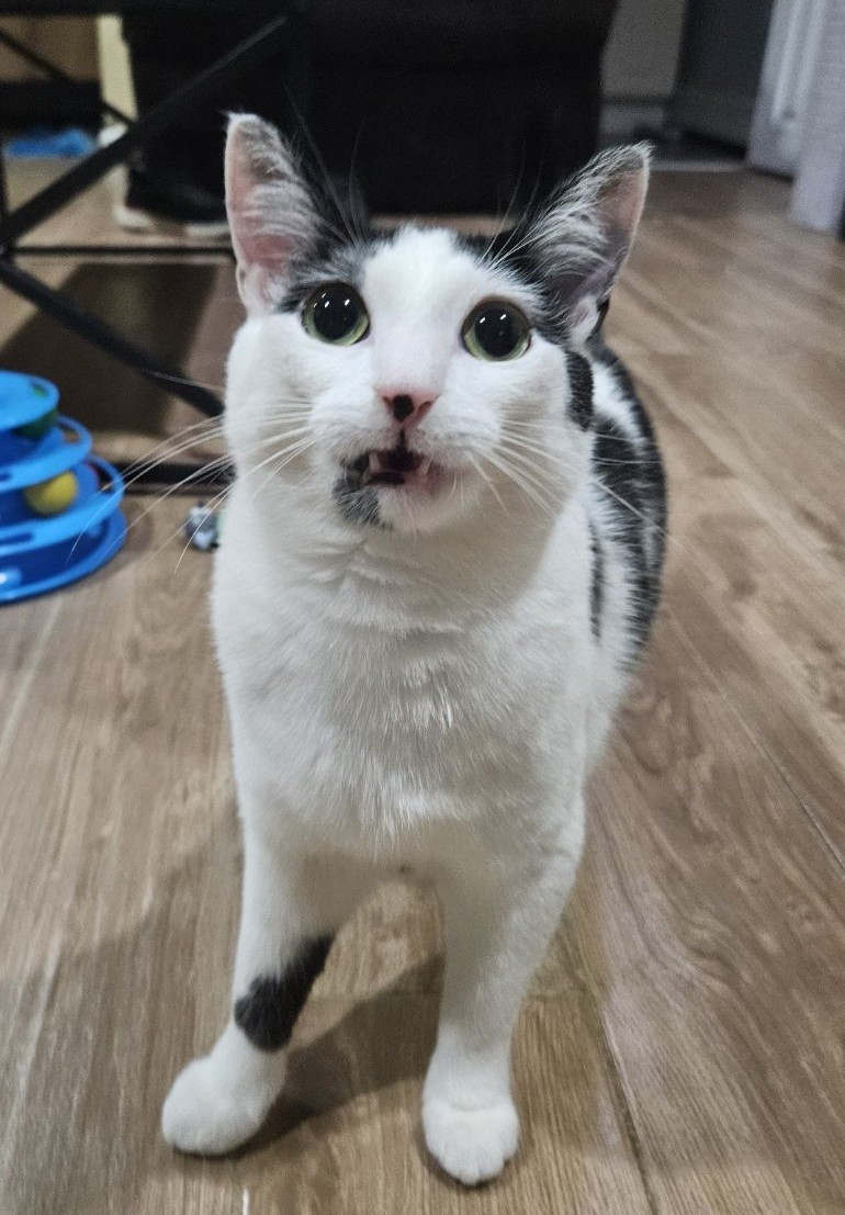 linkquidator_'s tweet image. This is my car. Please use these images as reaction images when you see fit thx