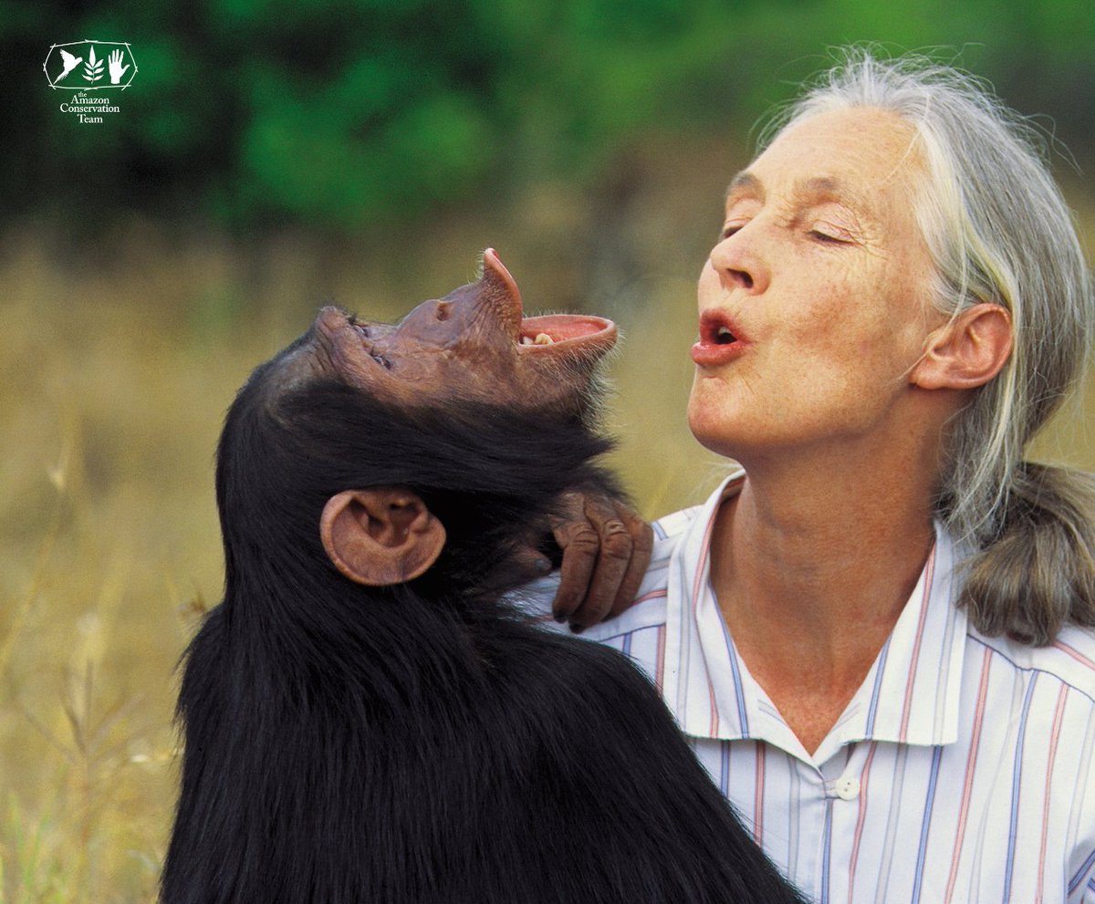 AmazonTeamOrg's tweet image. We are deeply saddened by the passing of Dr. Jane Goodall, a visionary scientist, conservationist, and founder of the Jane Goodall Institute. As a member of our Advisory Board, she inspired our work and reminded us of the profound connection between people and the natural world.…