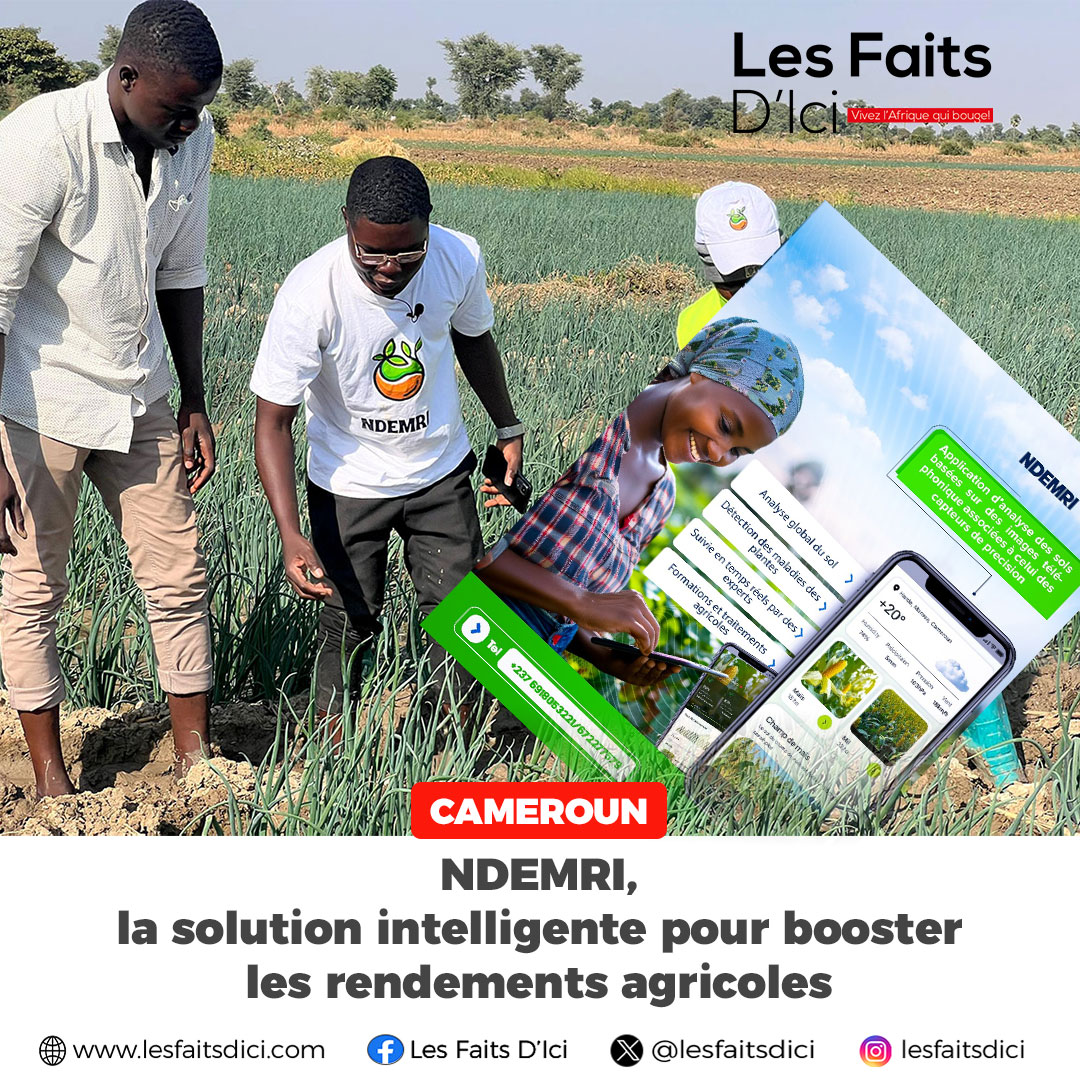 Les Faits D'Ici tweet media