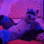 Photo by Nightcoon (@NightCoon)