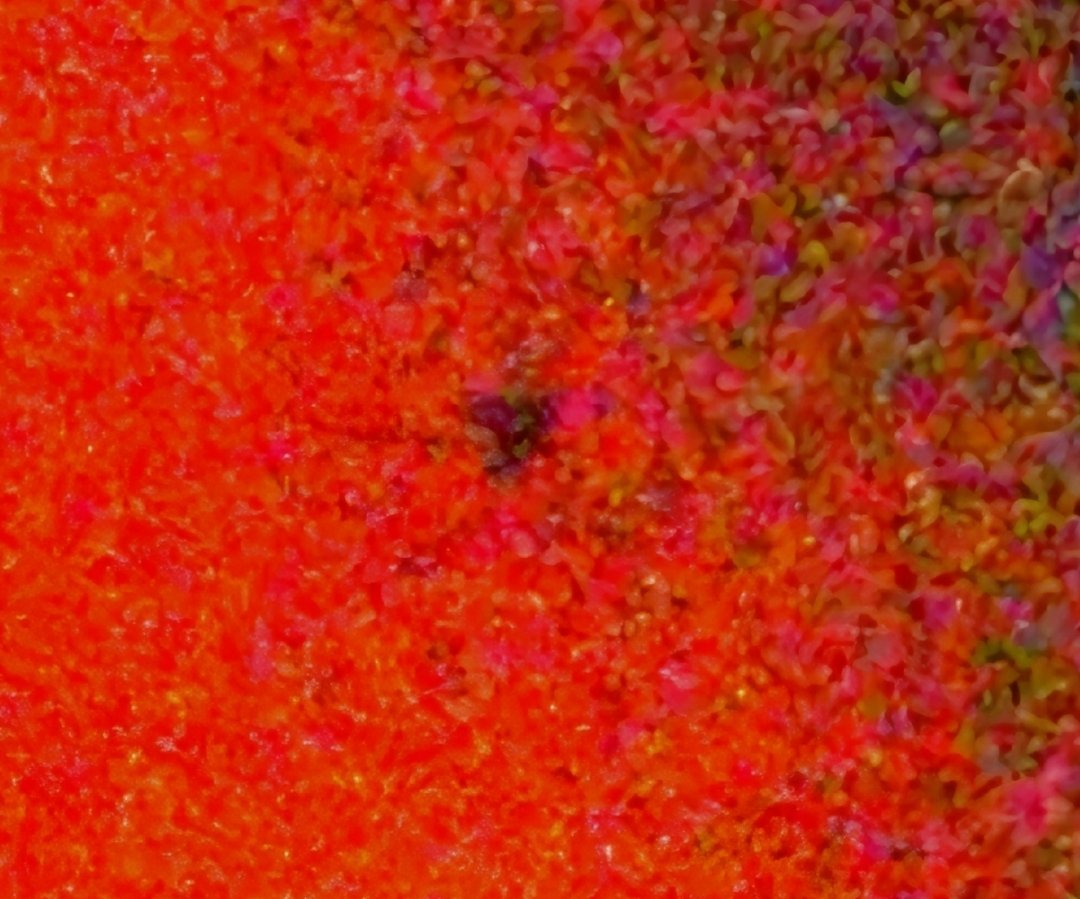 Cortex_Zero's tweet image. A YouTuber by the name of Dobsonian Power recently attempted to capture an image of 3I/ATLAS, and this was the result. The observation remains inconclusive, but he intends to make another attempt when conditions allow. #ufotwitter #ufox