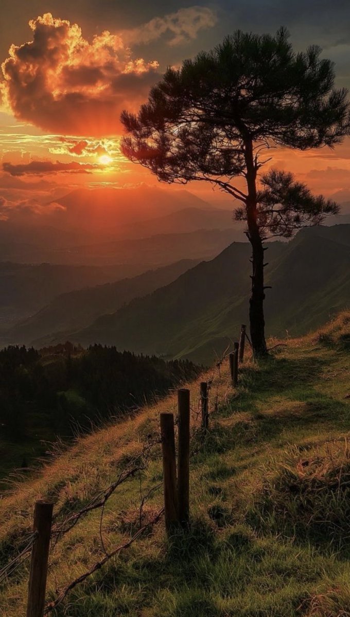 Veronicapg39's tweet photo. Hay personas que no buscan brillar, y aún así iluminan todo a su alrededor. Personas que caminan con calma, que no necesitan muchas palabras para tocar el alma. Que ven belleza en lo simple , y que en su mirada habita la ternura y en su silencio paz. https://t.co/KslABmuVFj