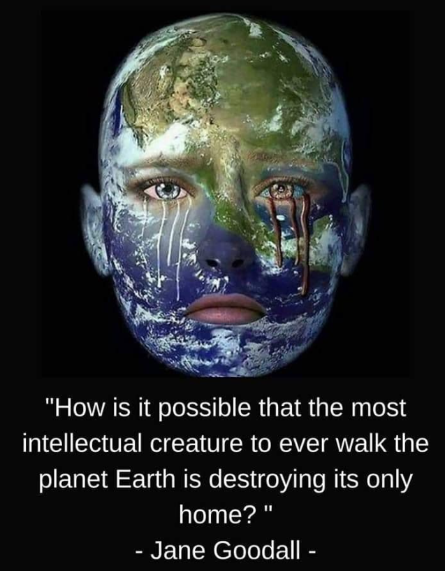 <a href="/JoJoFromJerz/">Jo</a>