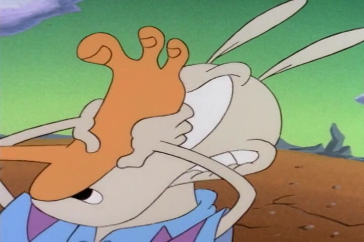 Rocko Screens tweet media