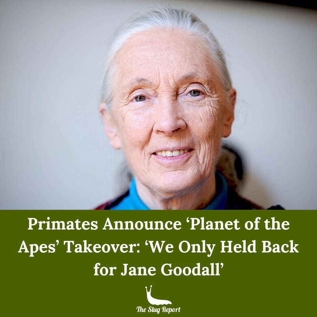 SlugReport's tweet photo. “We were going to do this back in the '60s, but then Jane Goodall traveled to Tanzania and saved your parasitic asses,” said Banjo, a chimp representing Rwanda.

Article: https://t.co/ZcSWdwWd0C
#satire #JaneGoodall https://t.co/J7Mx8BBeL0
