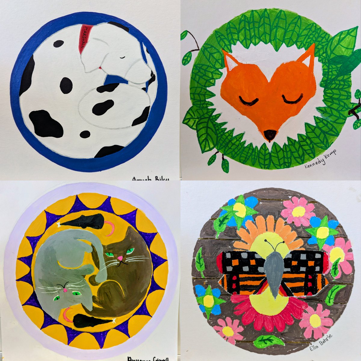 Amy Panfalone tweet media