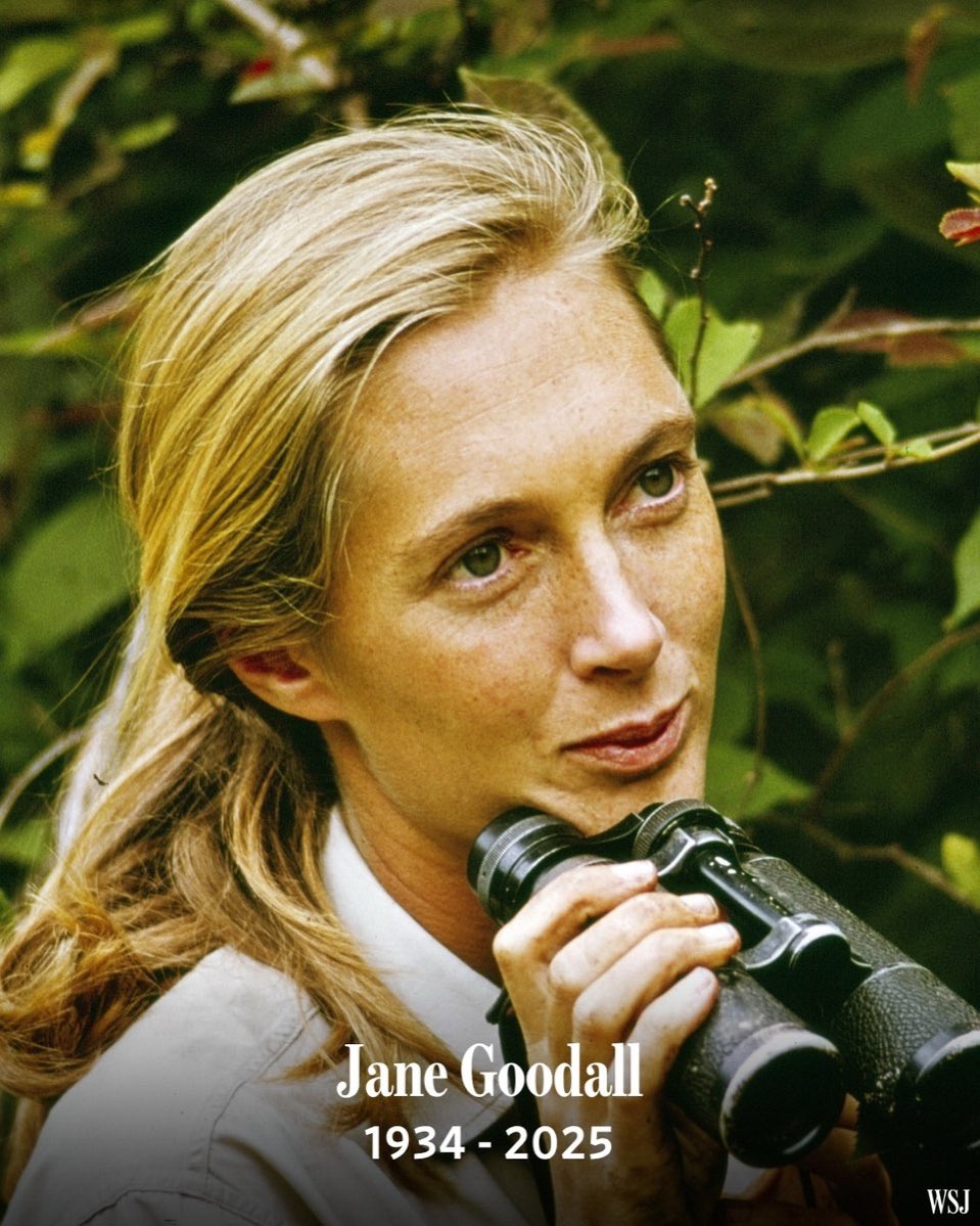 Rip Jane Goodall. True trailblazer &amp; 1 of 1.