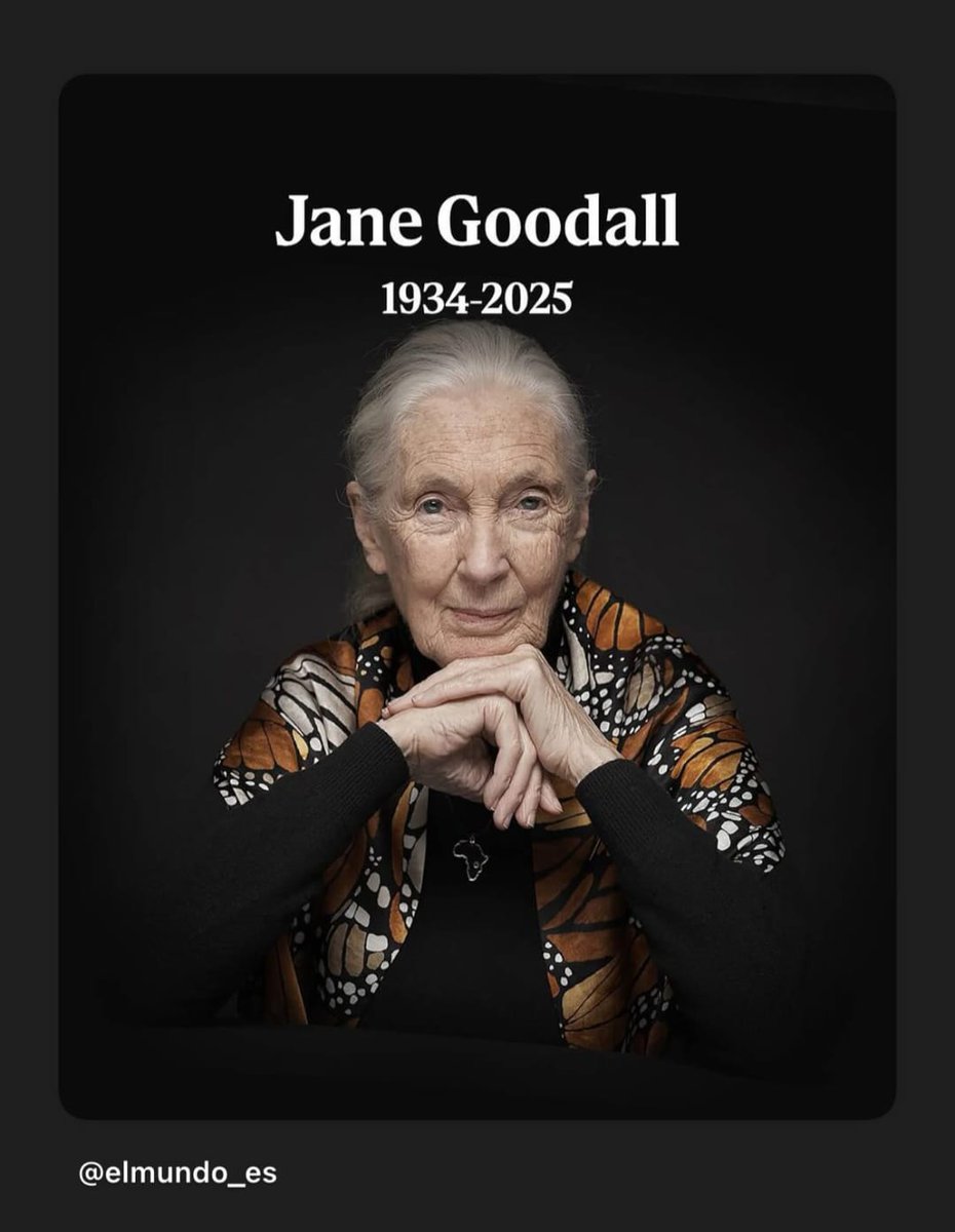Hoy es un día triste para nosotros😓
Siempre será una inspiración y un honor para nuestros hijos que nuestro instituto lleve su nombre. 
Descanse en paz 🥺 <a href="/JaneGoodallInst/">Dr. Jane Goodall & the Jane Goodall Institute</a> <a href="/JaneGoodallEspa/">Jane Goodall España</a>