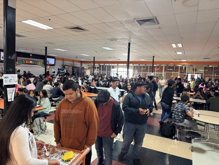 Perfect Attendance Pays Off! 🏆
Huge shout-out to all the Mighty Tigers who achieved Perfect Attendance for the first six weeks!  Your commitment to being here every day is key to your success.  We are so proud of you!

#PerfectAttendance #MHSPride #SixWeeksStrong 🐯