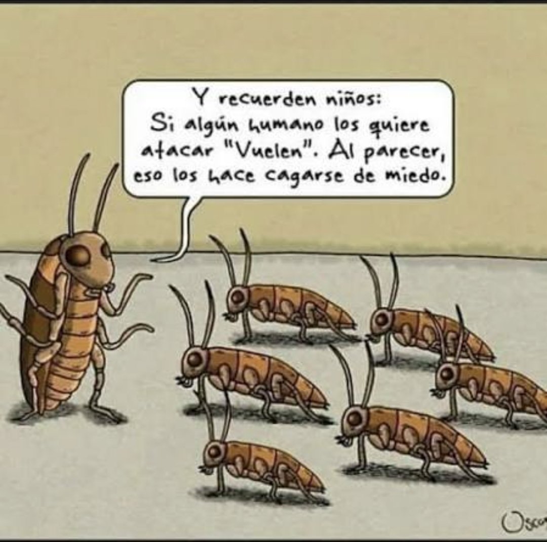 Grammar Catracho 📚 tweet media