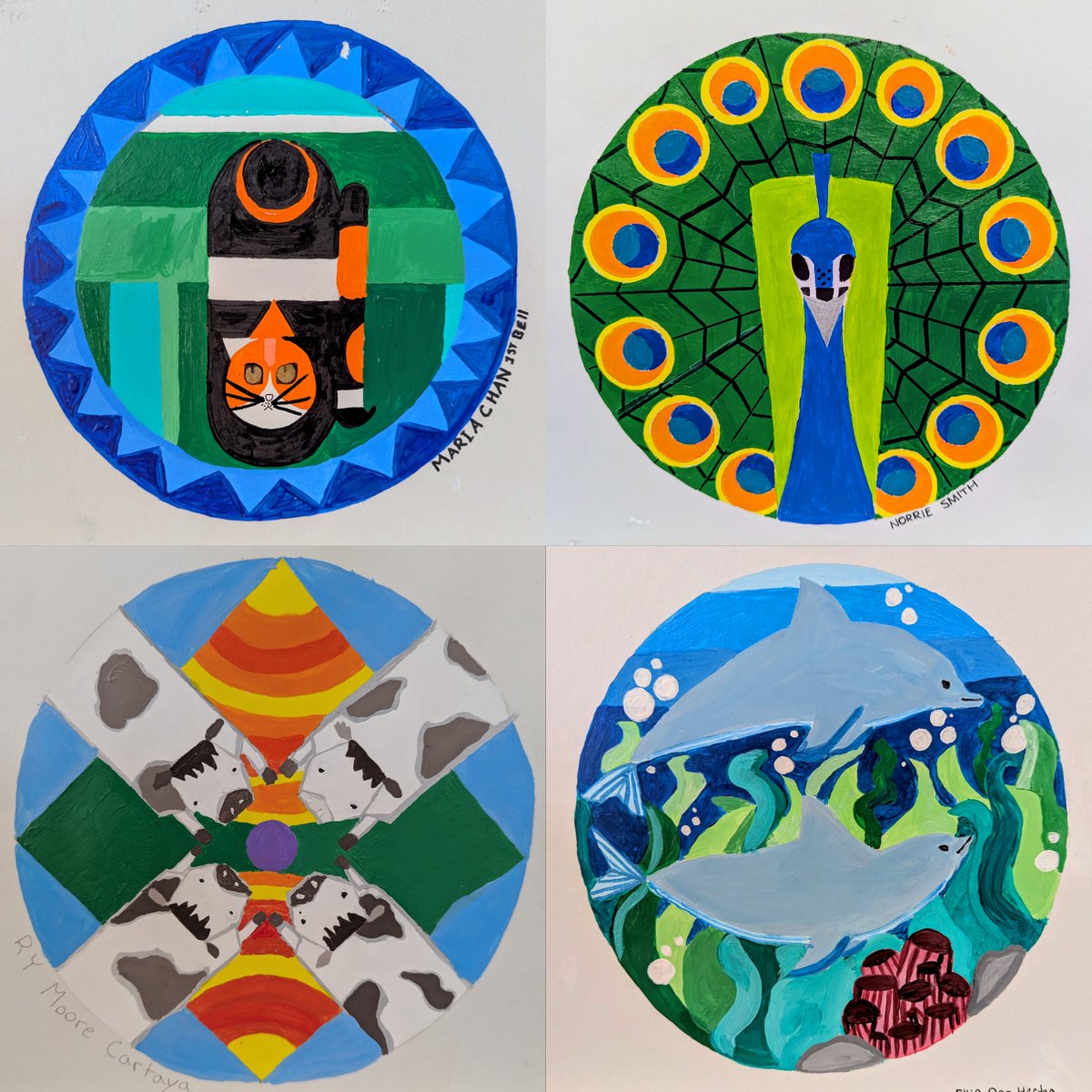 Amy Panfalone tweet media