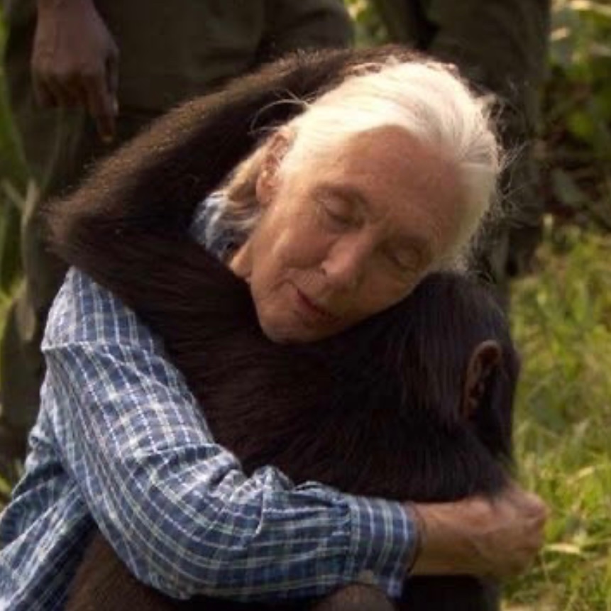 _LyricalLessons's tweet photo. Sweet Jane…🎶💔
Your love was such a sanctuary in this cruel world. So sad to see you go. https://t.co/OjbhBqJURX